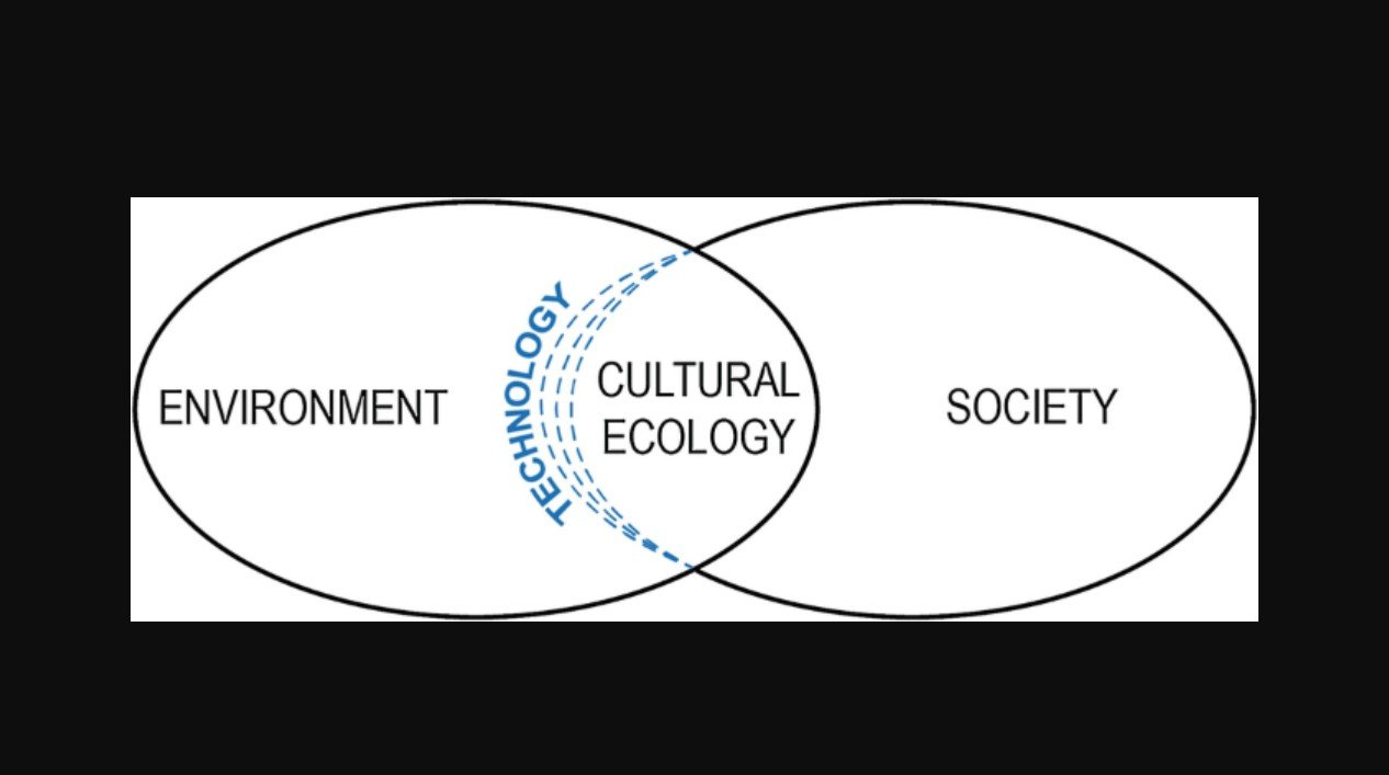 Culture, Environment & Society